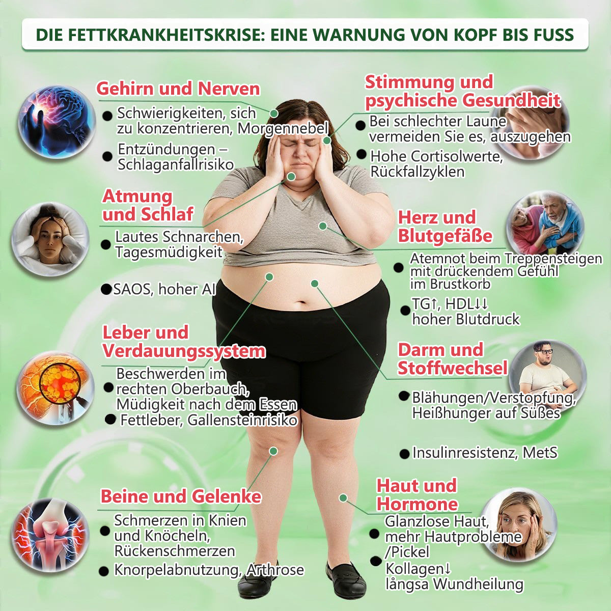✅Geelemon® 🎁Nur noch 5 Boxen übrig! Jetzt zusätzlich 30 % Rabatt!Bleiben Sie fit und gesund.