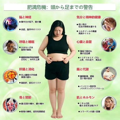 内臓脂肪対策サポート 🚚 送料無料👨‍⚕️👩‍⚕️GeeLemon®＆NAD+ 8-in-1 ナノ強化フォーミュラ — 肥満、肌のたるみ、糖尿病、睡眠時無呼吸症候群、関節の悩み、その他健康上の懸念にアプローチ🛍️